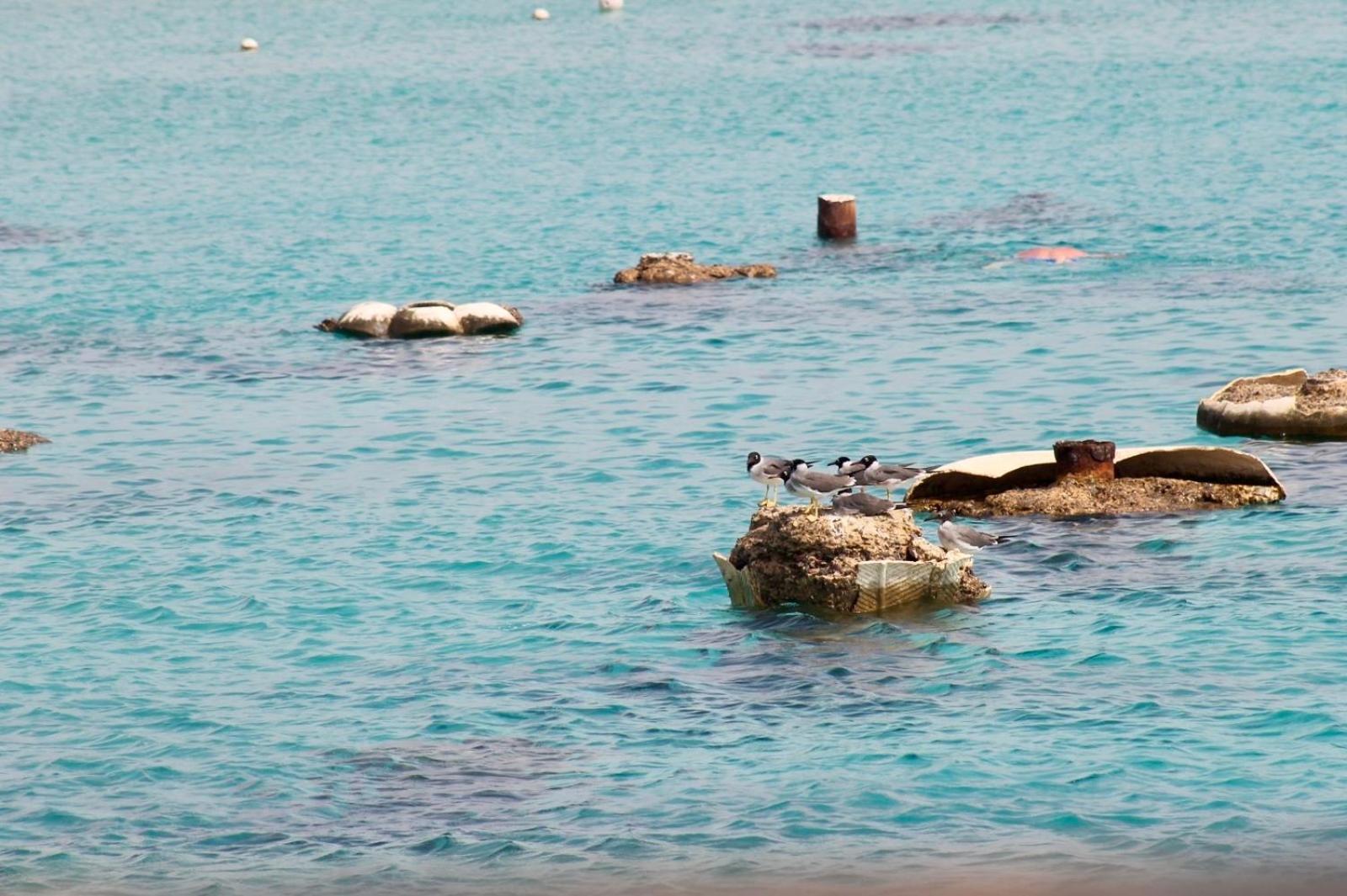 فيلة Kuba Luxus - In Sahl Hashesh-hurghada *