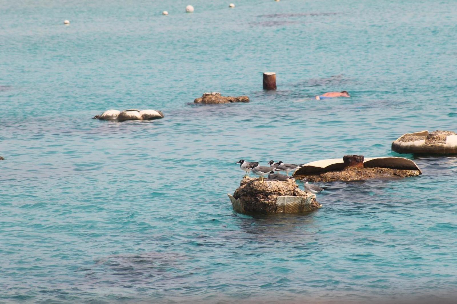 فيلة Kuba Luxus - In Sahl Hashesh-hurghada